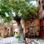 ספינלונגה - לירון כל רגע