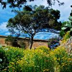 ספינלונגה - לירון כל רגע